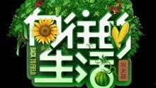 下期花园爆料视频在线观看,揭秘下期精彩瞬间  第2张