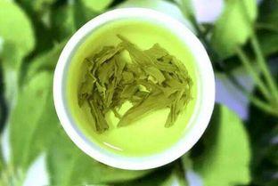 姐弟吃瓜小绿茶免费阅读,小绿茶的免费阅读之旅  第3张