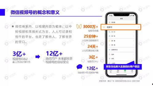 唐山酒吧爆料视频最新下载,最新下载揭露惊人内幕  第3张